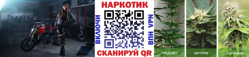 Наркошоп купить АМФЕТАМИН  Alpha PVP  Кодеин  Cocaine  ГАШ  МЕФ  Метамфетамин  Нововоронеж