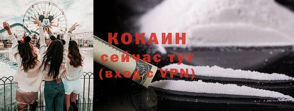 мет Каменка