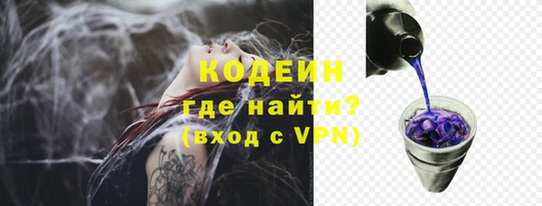 мет Каменка