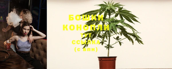 стафф Каменск-Шахтинский