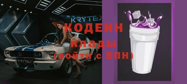 мет Каменка