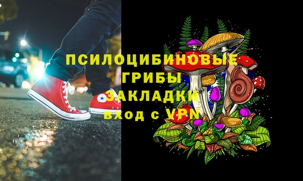 мет Каменка