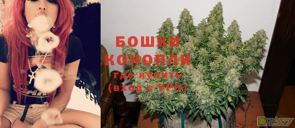 мет Каменка