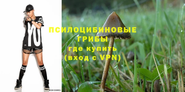 мет Каменка